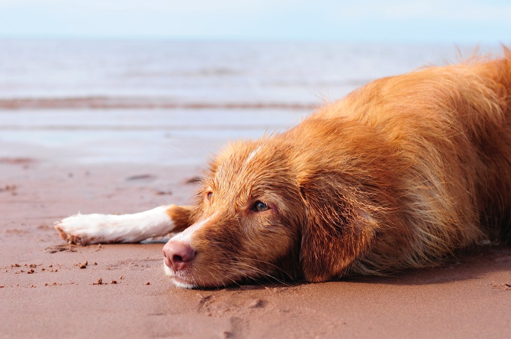 55 Kennedy horizontal