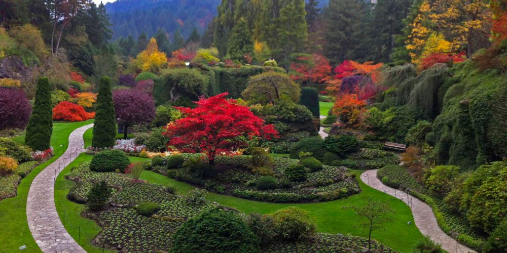 111 Victoria-Buchart gardens 2